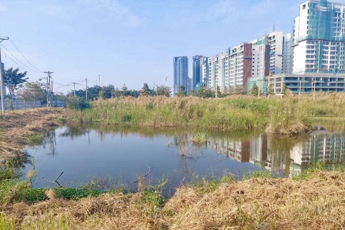 Hành trình đòi lại 2 tỷ đồng mua đất chưa có sổ đỏ tại TPHCM