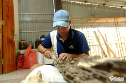 W-a trầm hương3.jpg