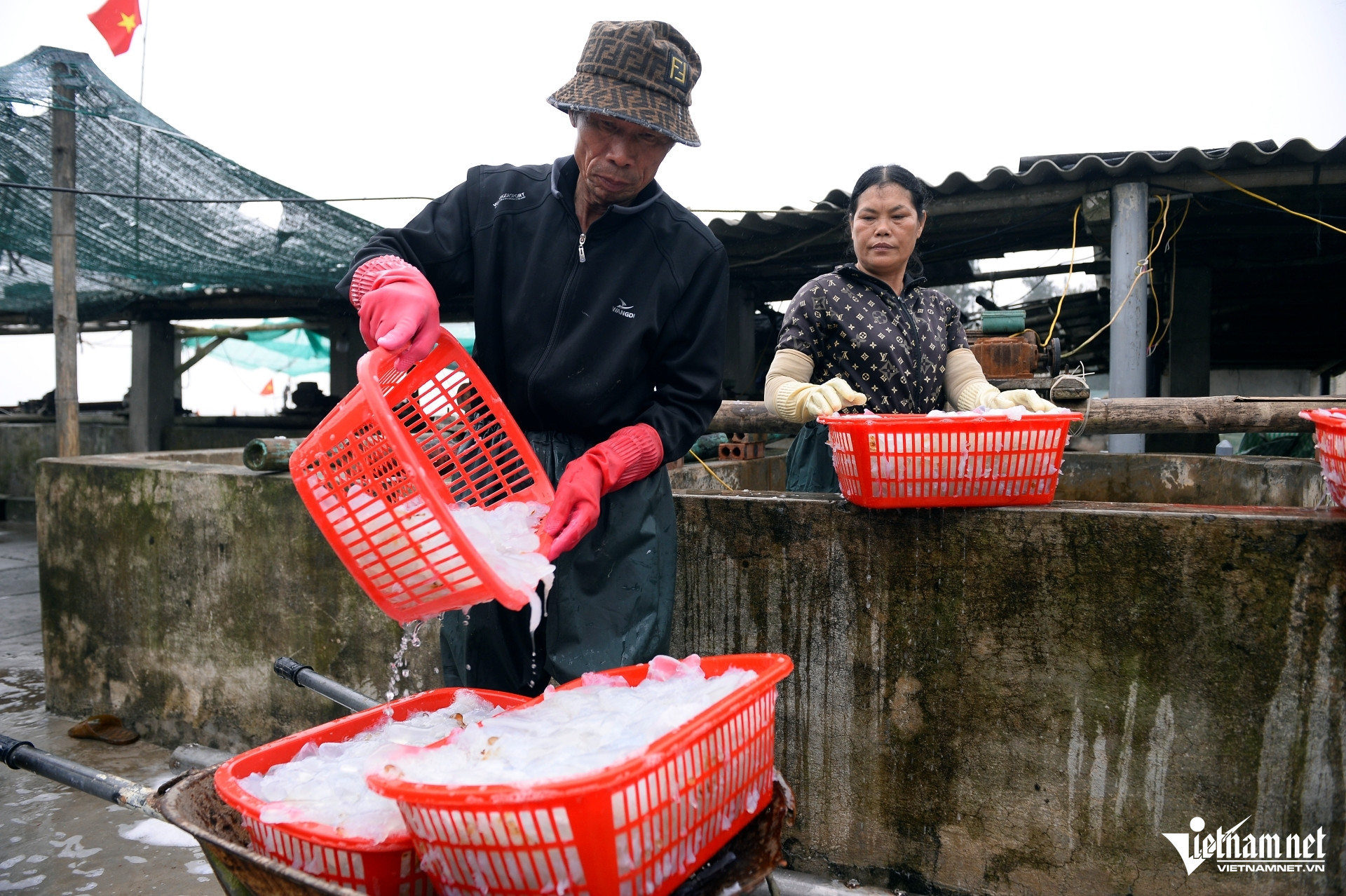 W-a8Vớt loài nổi trên biển ăn sần sật.JPG.jpg