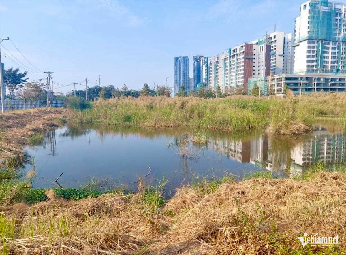 W-tphcm đất sổ đỏ.jpg