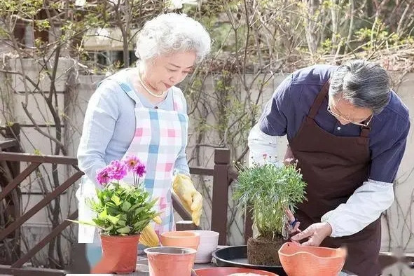 5 đặc điểm hay xuất hiện ở người sống thọ khỏe mạnh