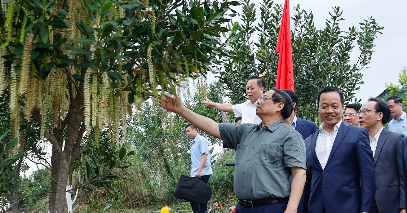 Cần biến núi rừng Tây Bắc trùng điệp thành của cải vật chất