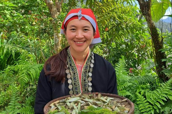 Cô gái Dao 'đổi đời' nhờ làm du lịch, đón khách Tây đến cày ruộng, hái rau