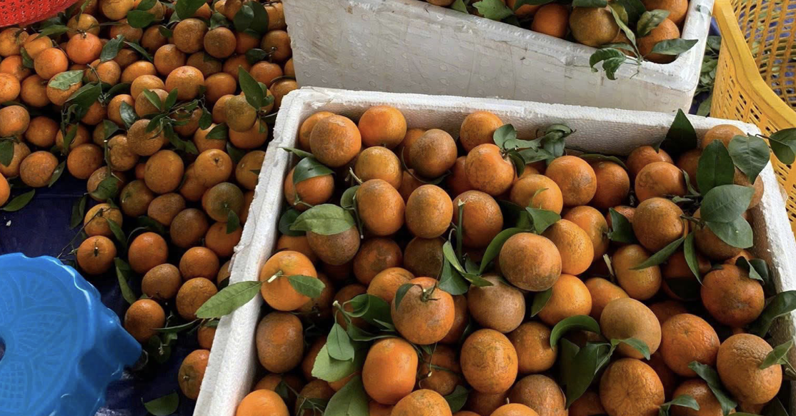 Xăng dầu tăng chóng mặt, dân buôn online đồng loạt “xin thêm 5.000 đồng/đơn”