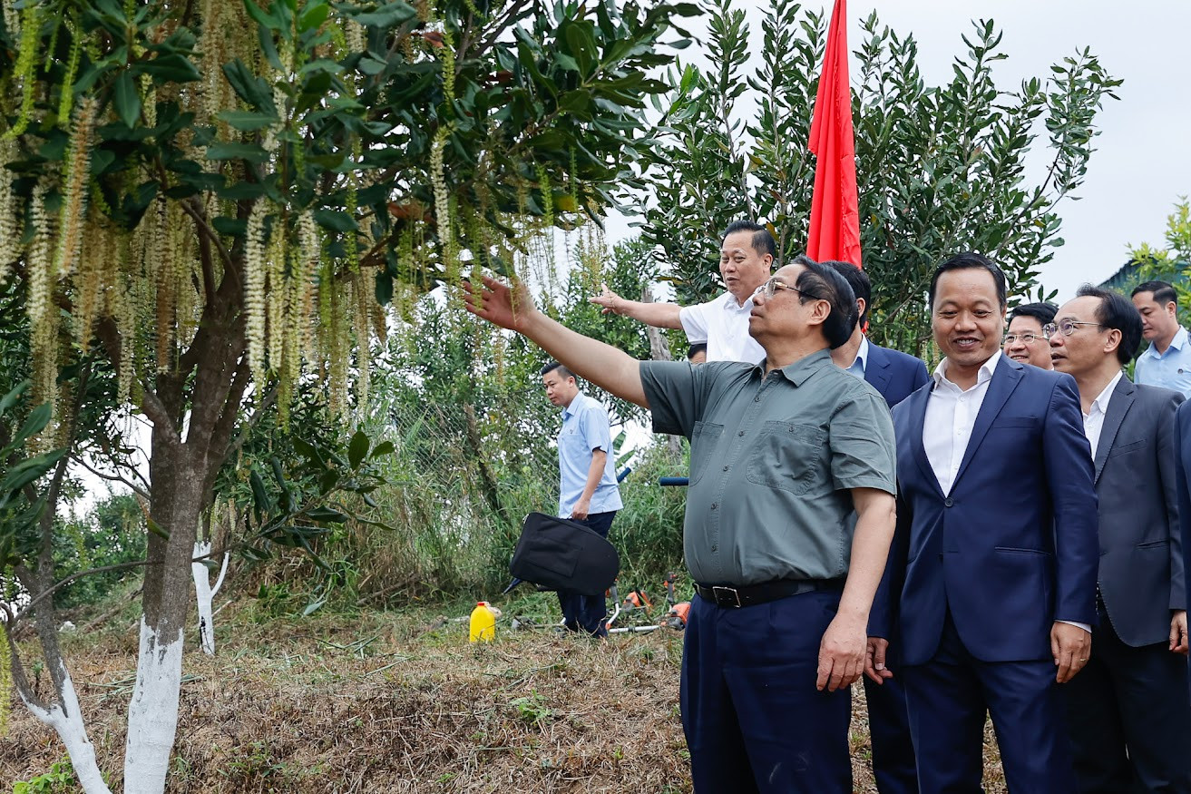 img1632 17729483483311572206592.jpg