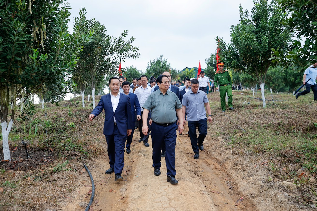 img1635 1772948348376139124838.jpg