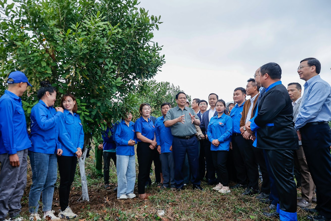 img1637 17729483484761646223824.jpg