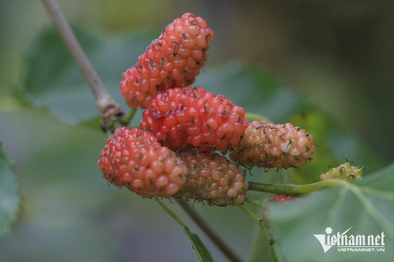 W-eb7562d1 72fa 4bdf bcb1 6c9137d4c0fc.jpeg