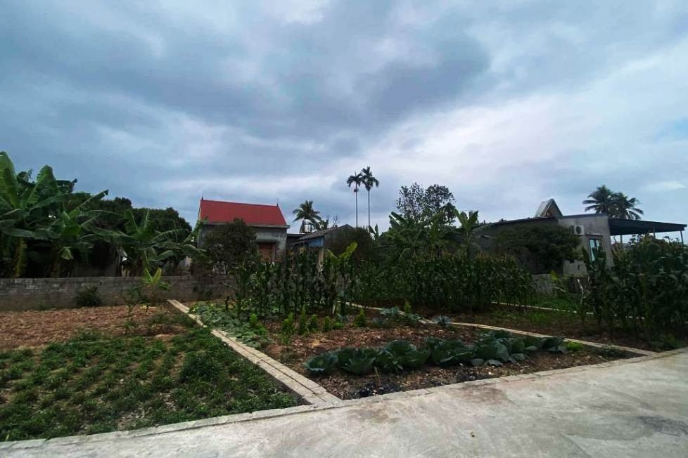 2 năm không về quê chồng, vừa bước vào phòng ngủ, con dâu bật khóc