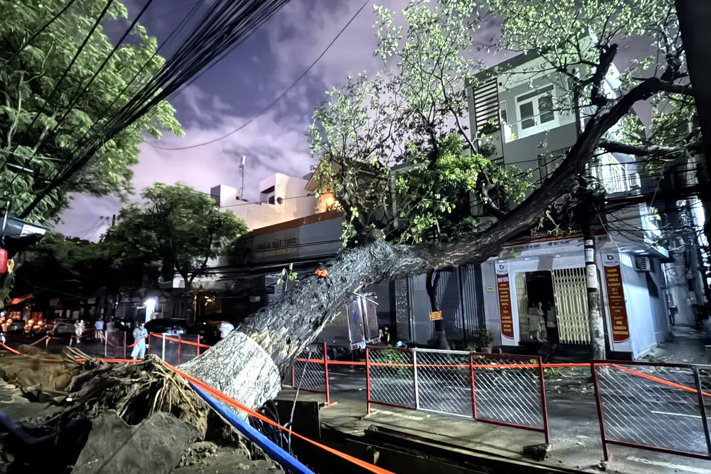 Cây cổ thụ đổ vào nhà dân giữa mưa lớn, nhiều hộ ở trung tâm Đà Nẵng mất điện