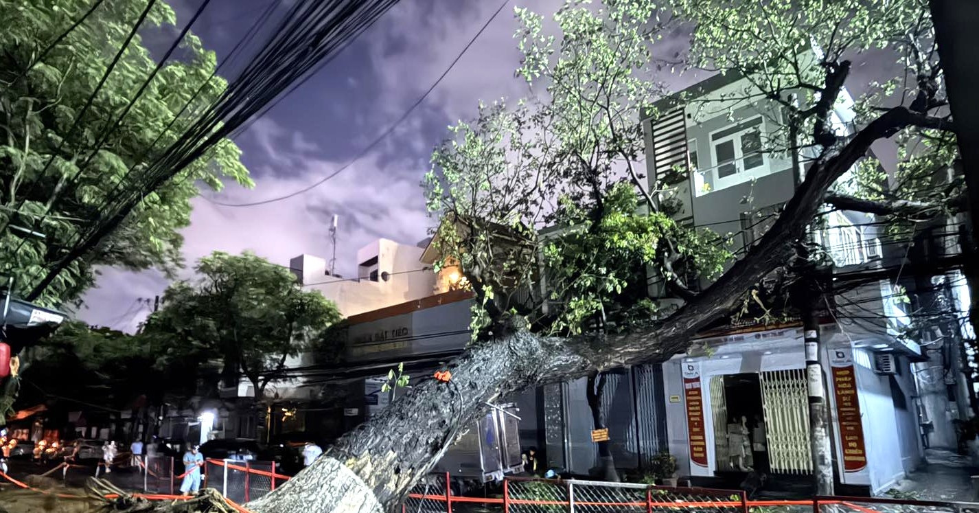 Cây cổ thụ đổ vào nhà dân giữa mưa lớn, nhiều hộ ở trung tâm Đà Nẵng mất điện