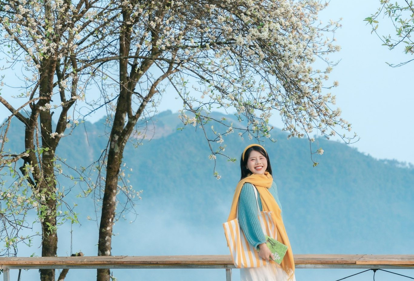 Mùa hoa sơn tra ở Tà Xùa nở rộ, khách Hà Nội vượt 240km tới check-in