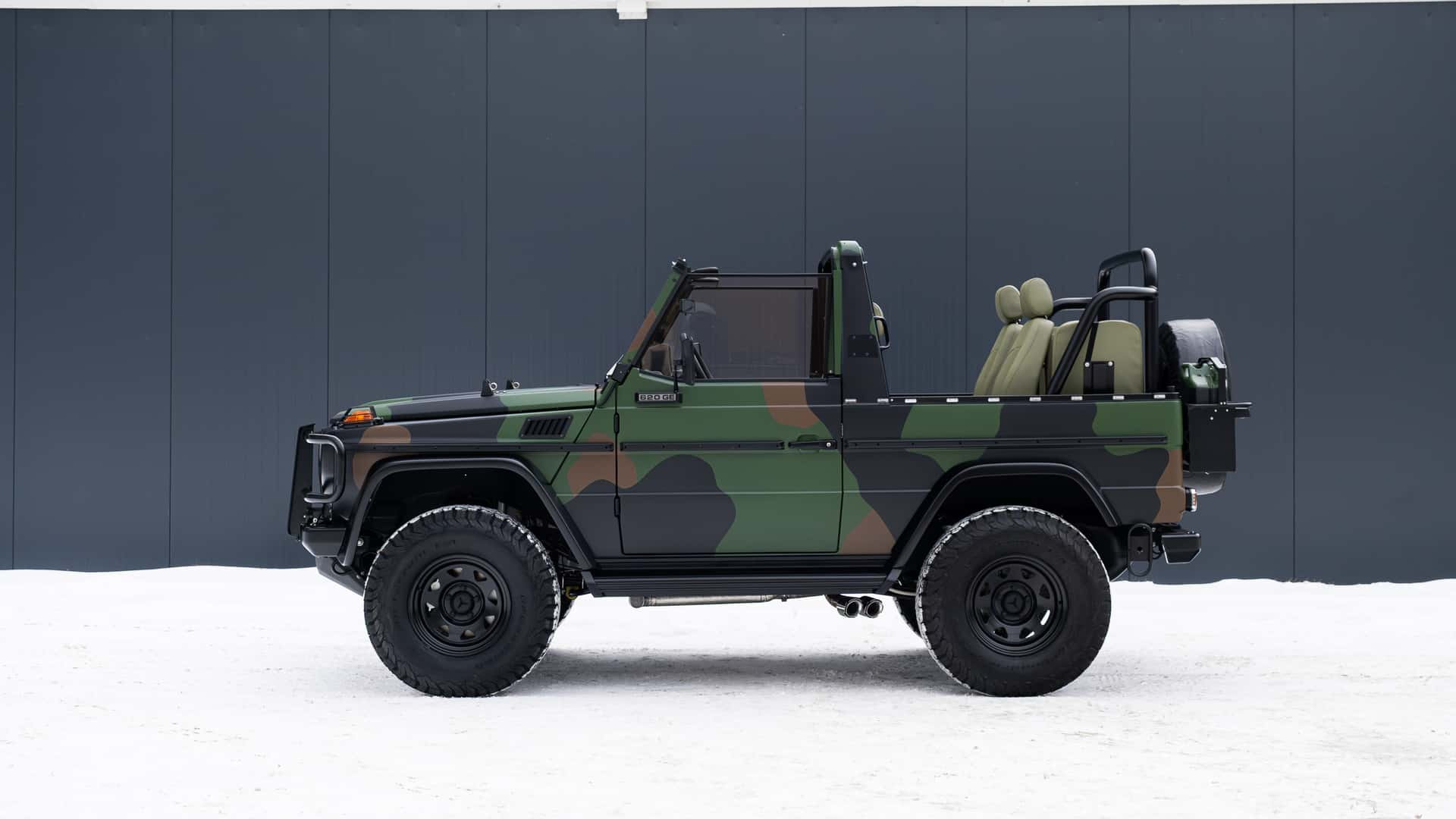 emc camouflage wolf.jpg