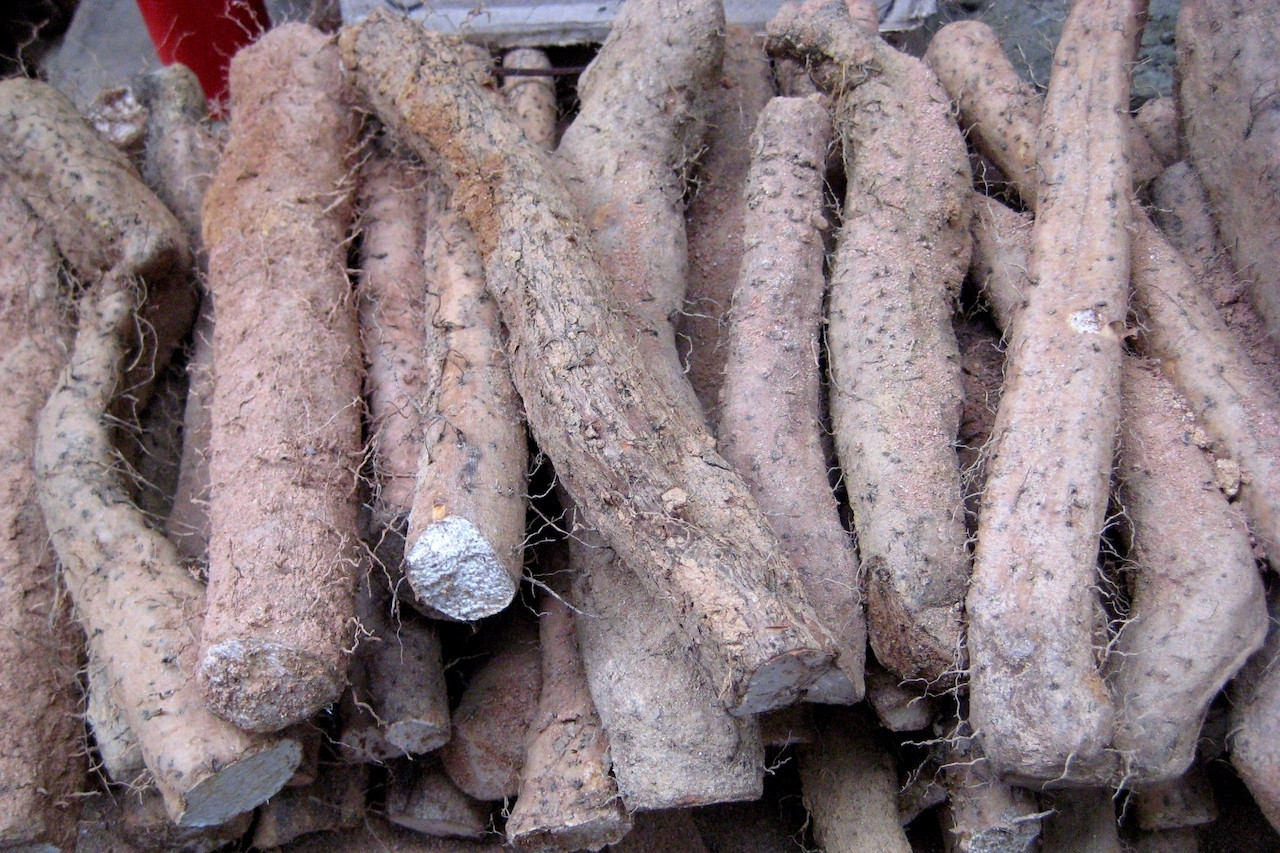  Loại củ đặc sản chùa Hương hỗ trợ tiêu hóa, 2 nhóm người cần thận trọng 