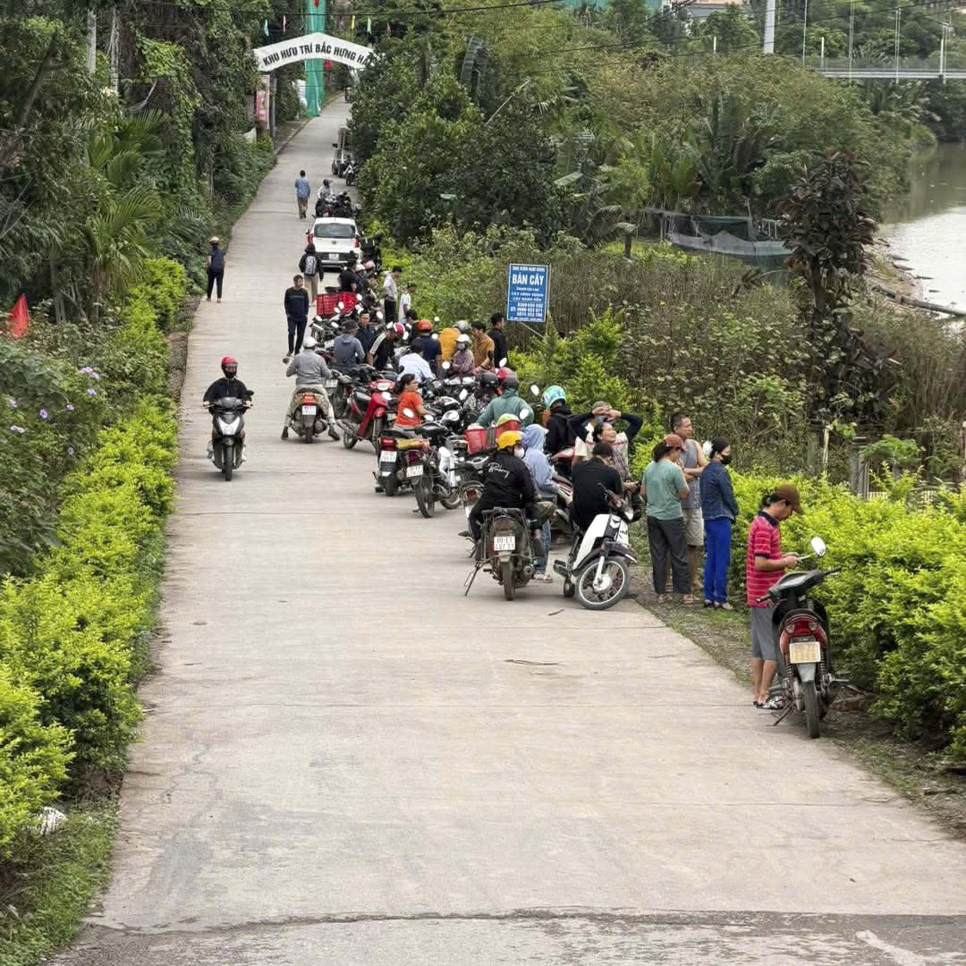 nhảy cầu hưng yên_1.JPG