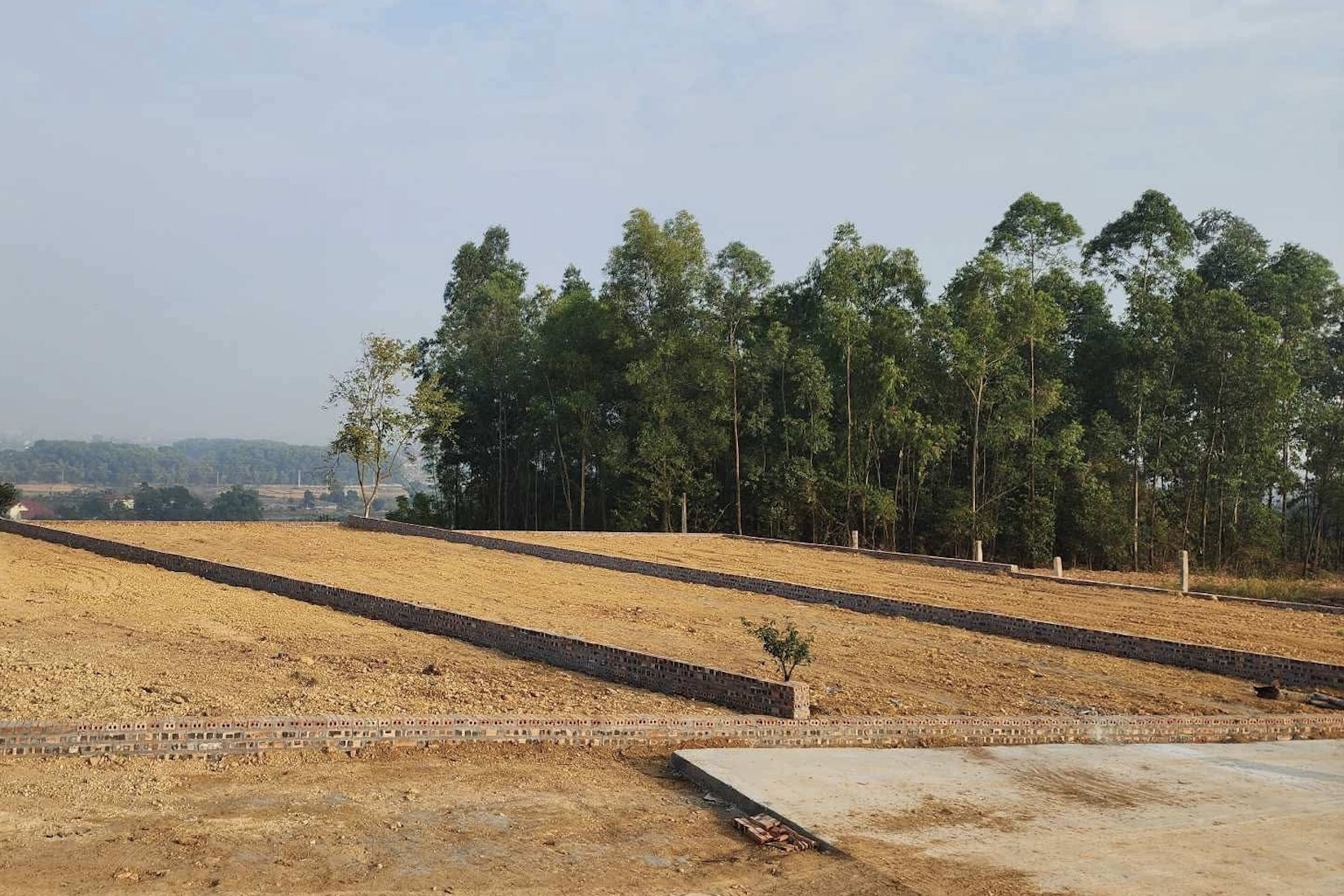 Từ 1.500m2 đất hợp thửa, có tách được 2 lô mặt tiền quốc lộ?