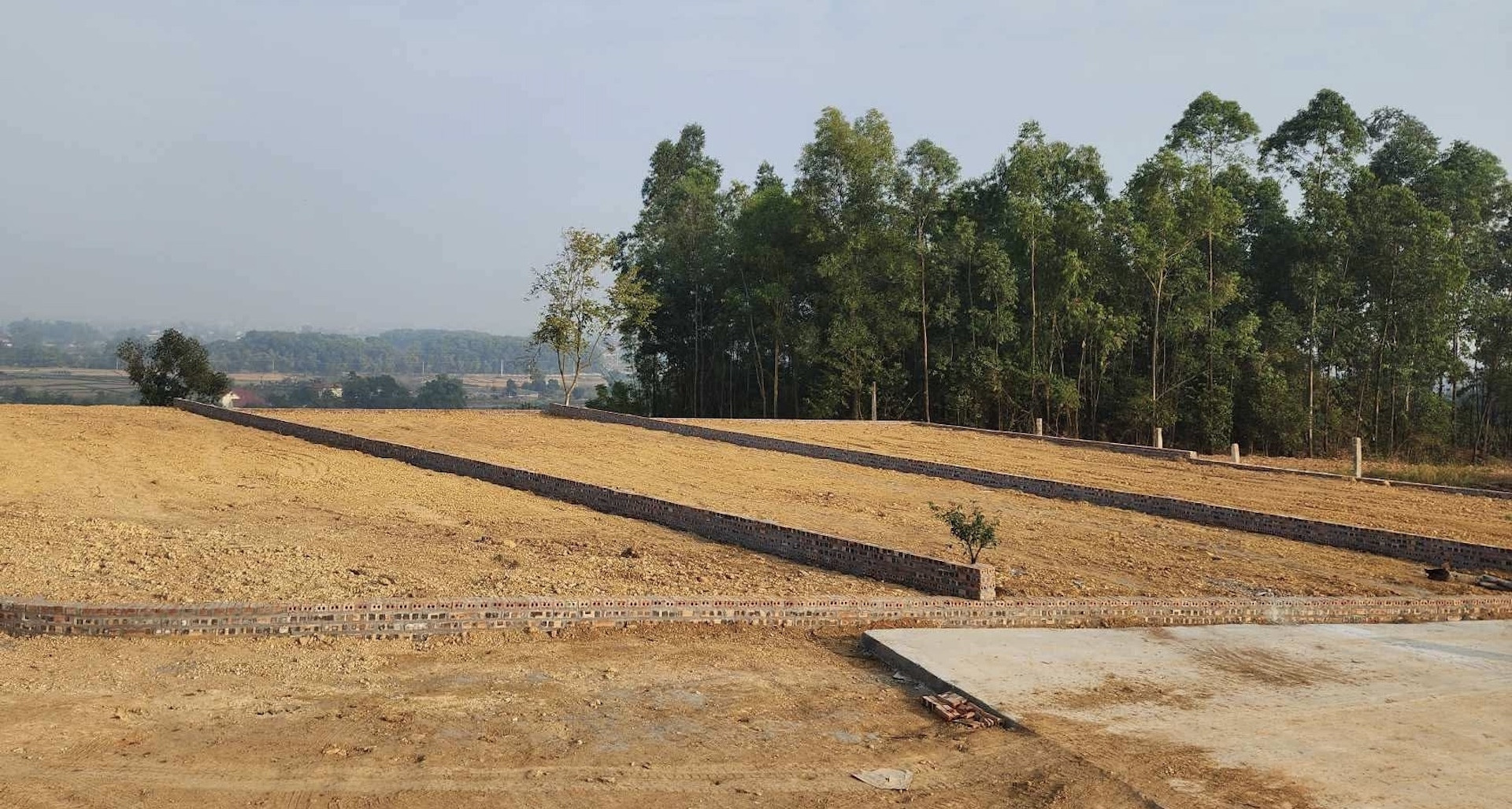 Từ 1.500m2 đất hợp thửa, có tách được 2 lô mặt tiền quốc lộ?