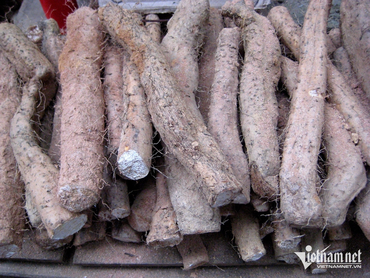 W-afc08218 d381 4660 914a a0fe2bf98fa9.jpeg