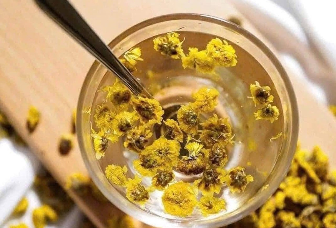 Điều bất ngờ khi uống mỗi ngày một ly trà hoa cúc