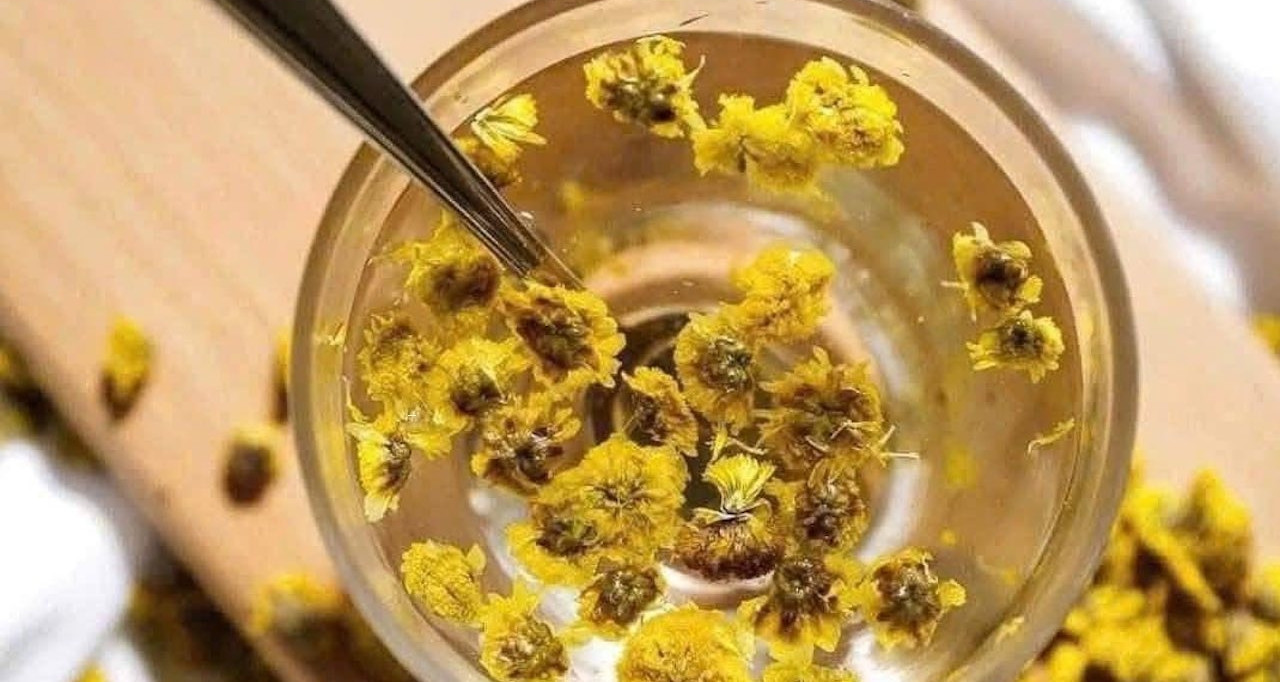 Điều bất ngờ khi uống mỗi ngày một ly trà hoa cúc