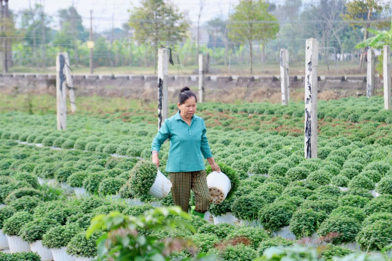 Hoằng Giang: Đánh thức khát vọng vươn lên từ việc xóa nghèo thông tin