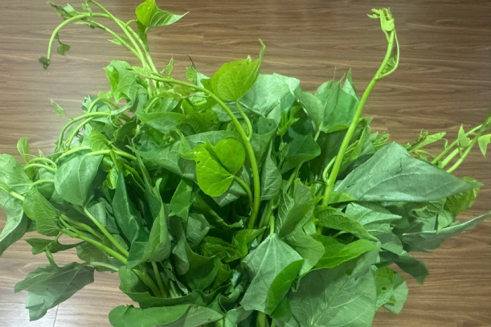 Loại rau người Mỹ ưa chuộng, giá bèo ở chợ Việt nhưng lợi ích không 'rẻ'