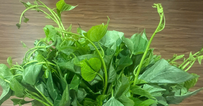 Loại rau người Mỹ ưa chuộng, giá bèo ở chợ Việt nhưng lợi ích không "rẻ"