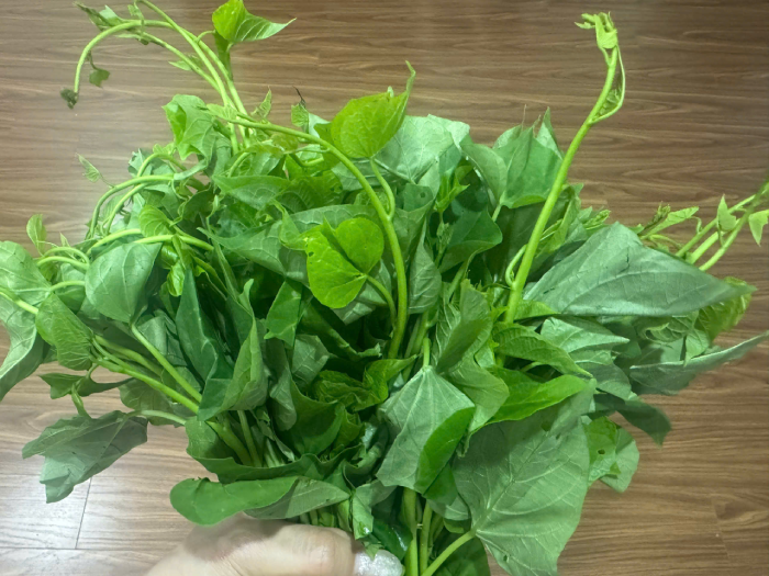 rau lang tot cho sk.png