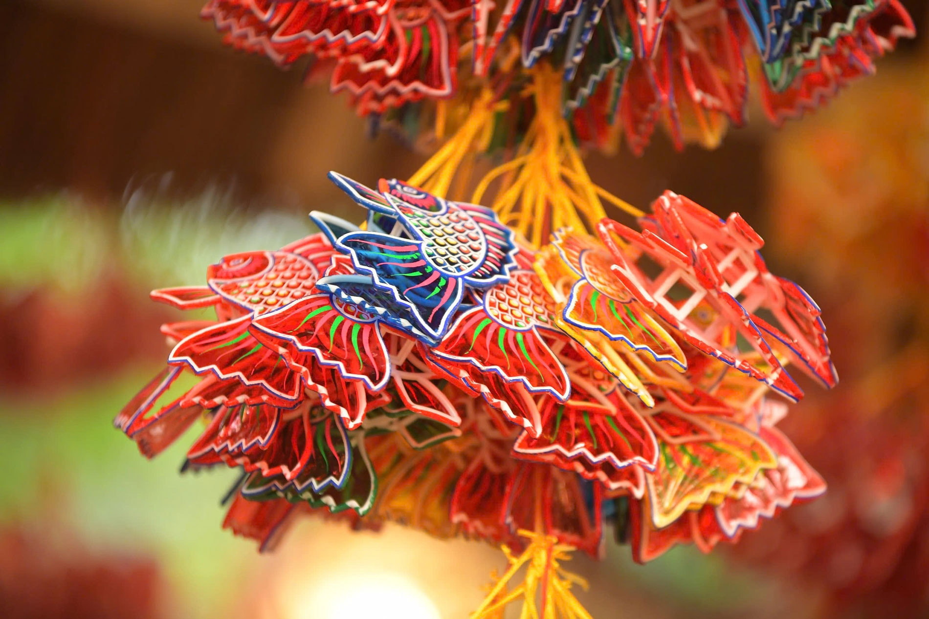  'Vườn ánh sáng' đặc biệt tại Văn Miếu Quốc Tử Giám 