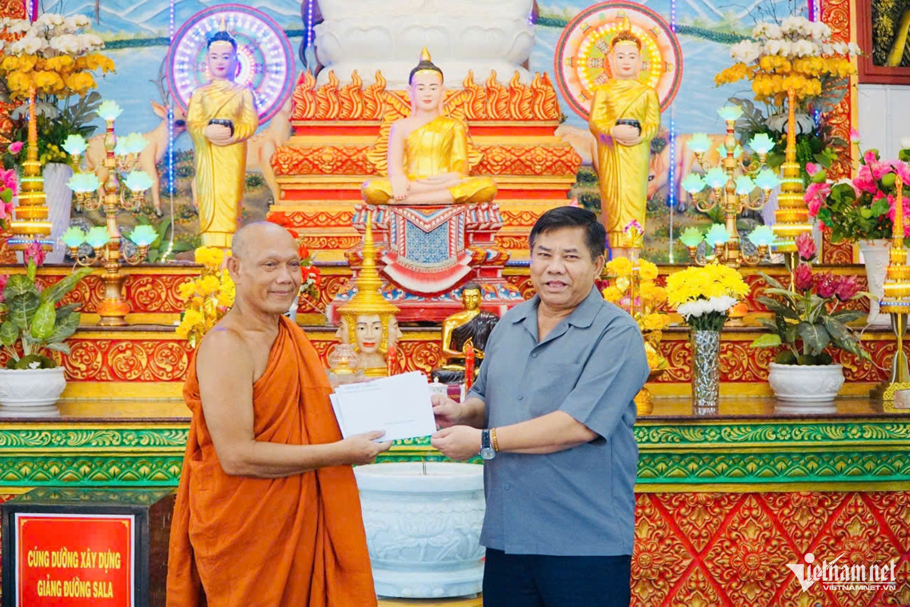 W-TT Y thông   1.jpg