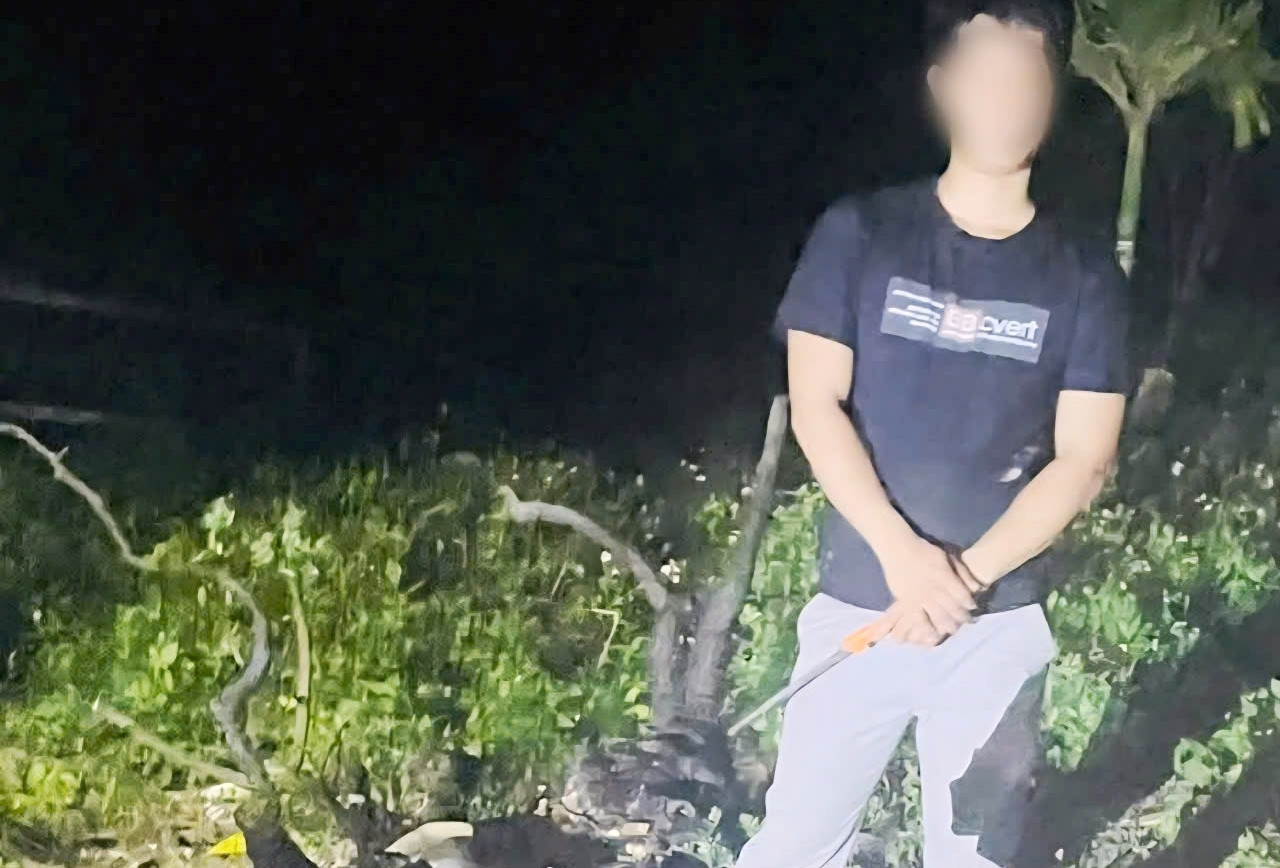 Bắt quả tang nam thanh niên khai thác trái phép 6 cây muội hồng ở Ninh Bình