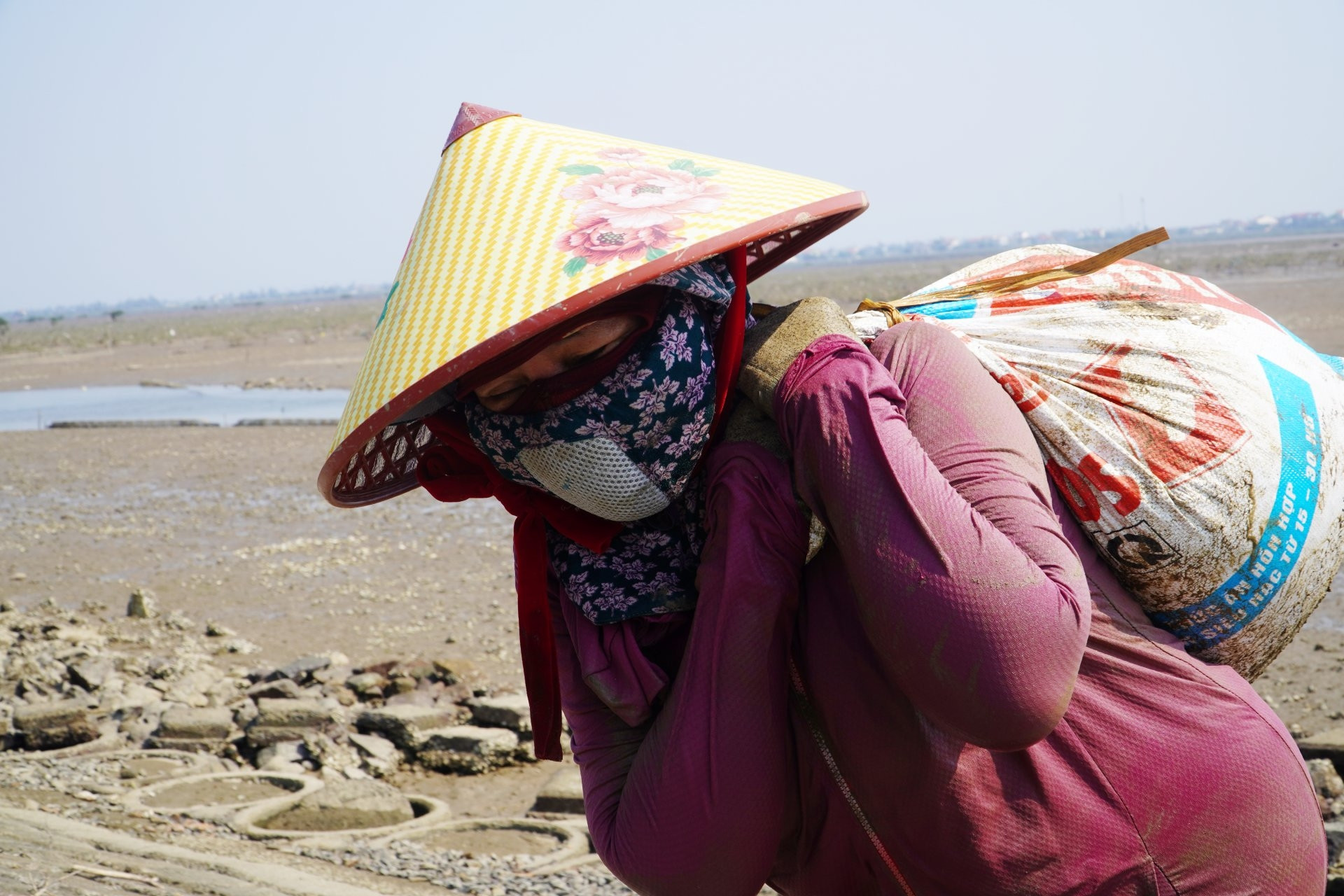  Những người phụ nữ 'cõng' ốc dưới cái nắng gần 40 độ C ở ven biển Hà Tĩnh 