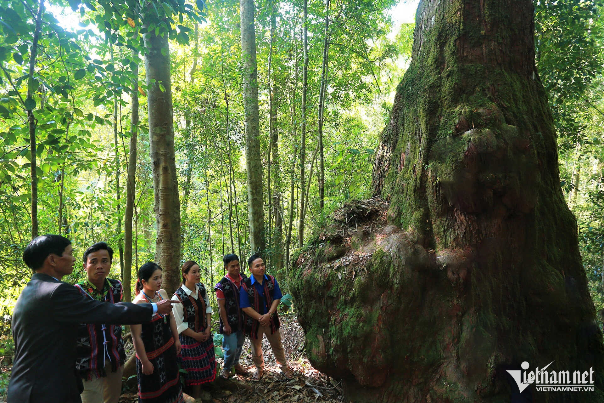 W-5a0a4772_optimized (1).jpg