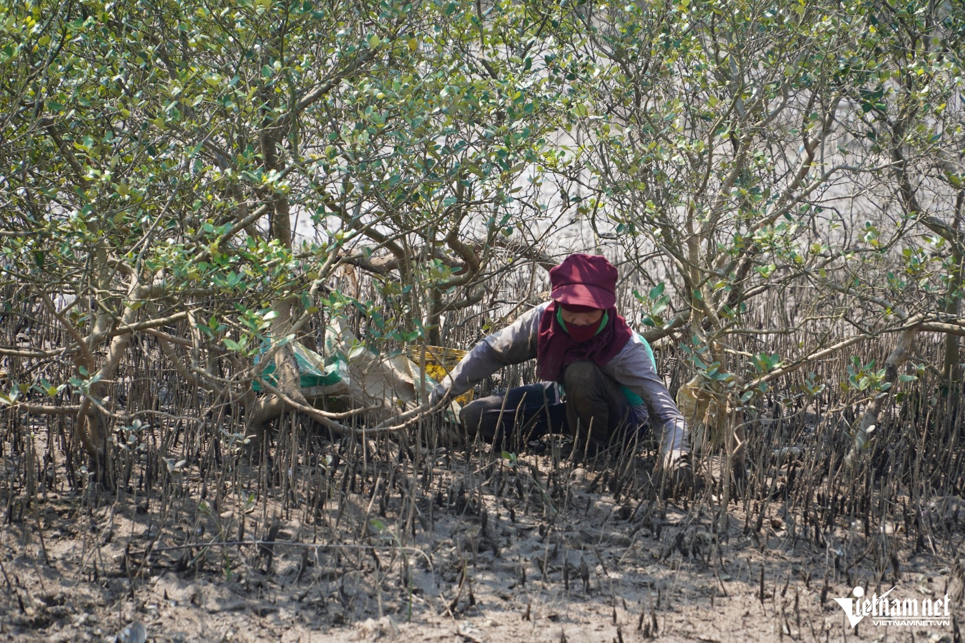 W-a phụ nữ 17.JPG.jpg