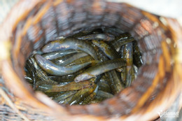 W-nắng Cửa rào 4.JPG.jpg