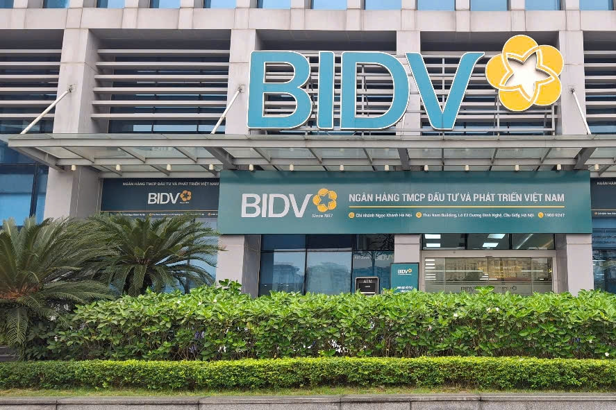 Kiểm toán chỉ tên ngân hàng lớn ôm đất rồi bỏ hoang