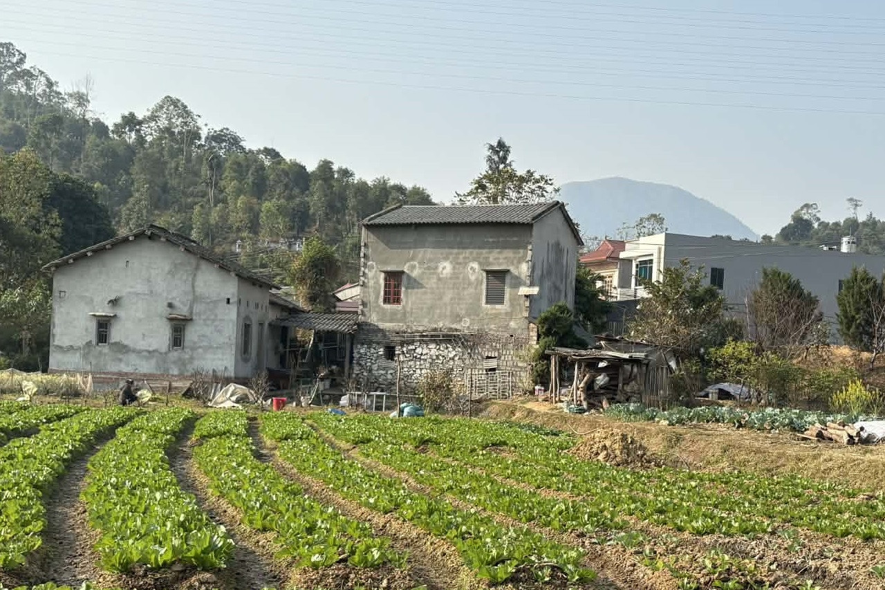 Sử dụng đất ổn định gần 20 năm, vẫn bị xem là vi phạm: Câu chuyện từ Quảng Trị