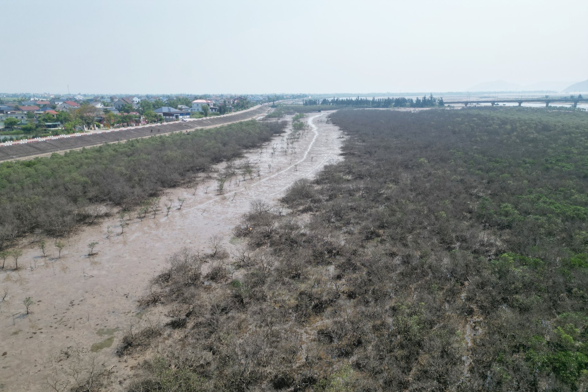 Cảnh tượng bất thường ven biển Hà Tĩnh, chưa tìm ra nguyên nhân