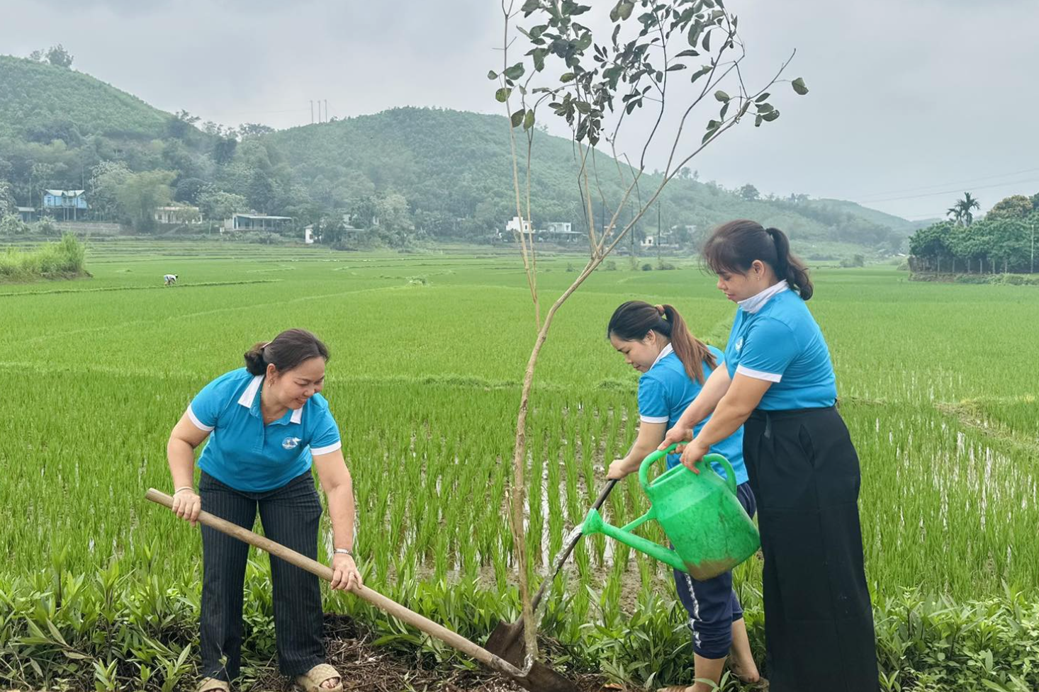 Giảm nghèo thông tin là đòn bẩy để phụ nữ nông thôn vươn lên phát triển