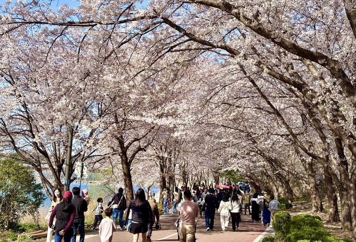 Giao bài tập lạ cho sinh viên, giáo sư ngành kỹ thuật gây 'bão' trên mạng xã hội