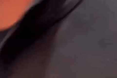 Nam ca sĩ 26 tuổi bị fan cuồng chửi bới, gây hỗn loạn tại sân bay