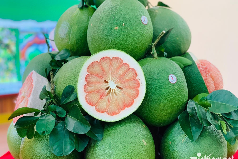 Trái bưởi Việt chính thức vào Úc sau 2 năm đàm phán