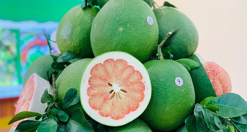 Trái bưởi Việt chính thức vào Úc sau 2 năm đàm phán