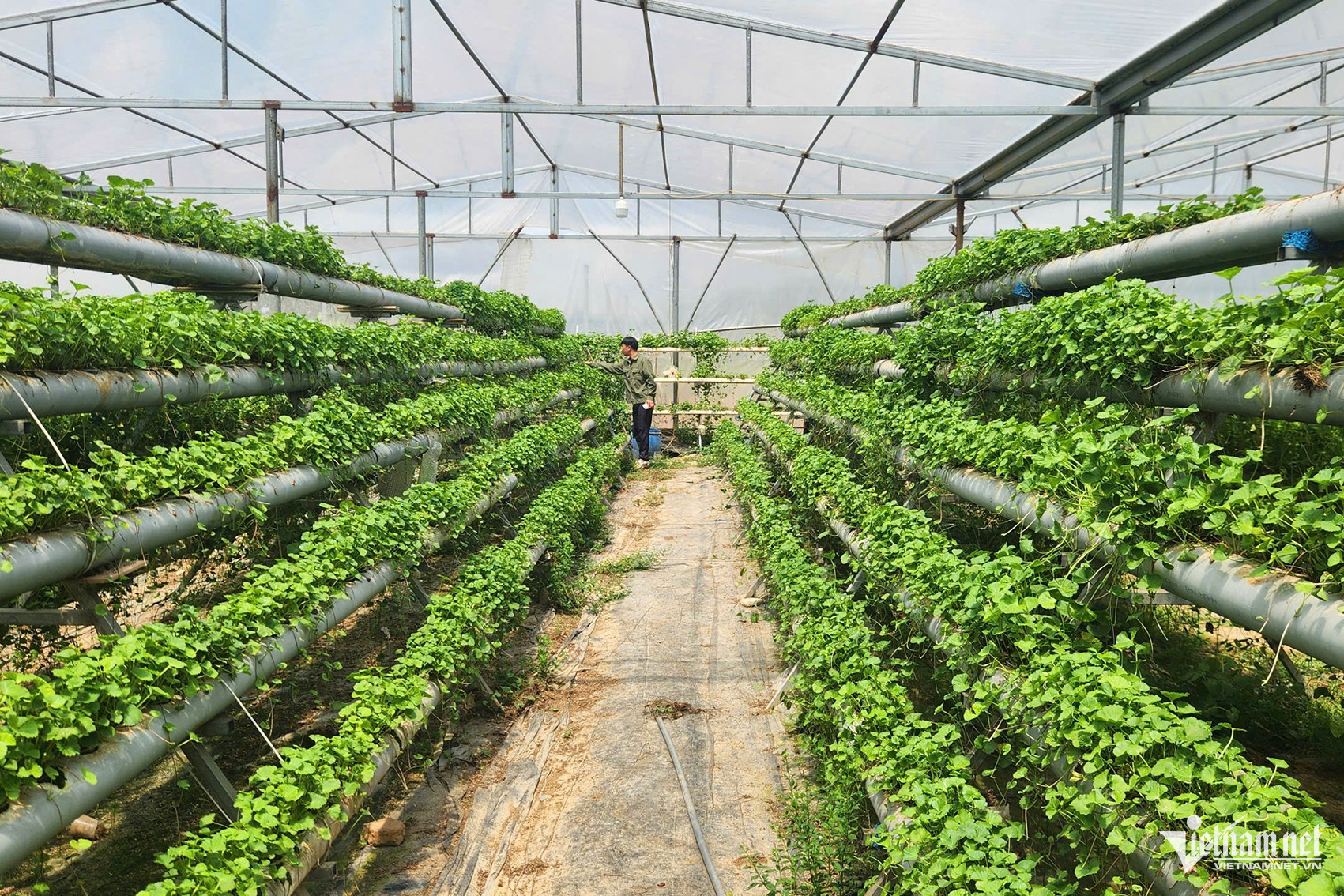 W-1835b182 725e 4624 86b7 23527f8ec413.jpeg