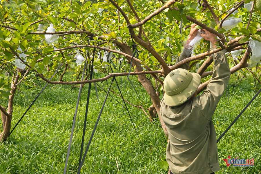 W-503ae97e b009 454a a3bd 92fd9553d645.png