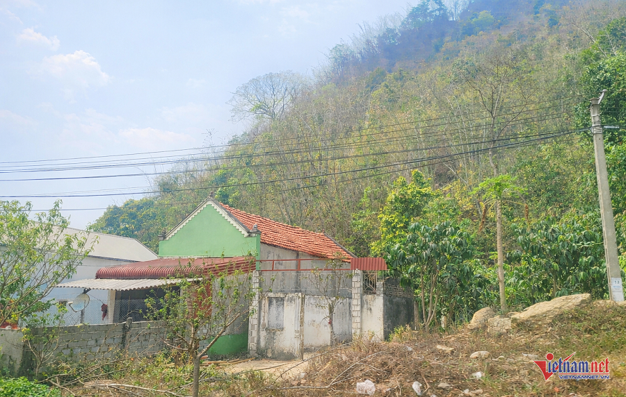 W-91b94c78 9bc7 4eb0 8b35 420966e5f8d5.png