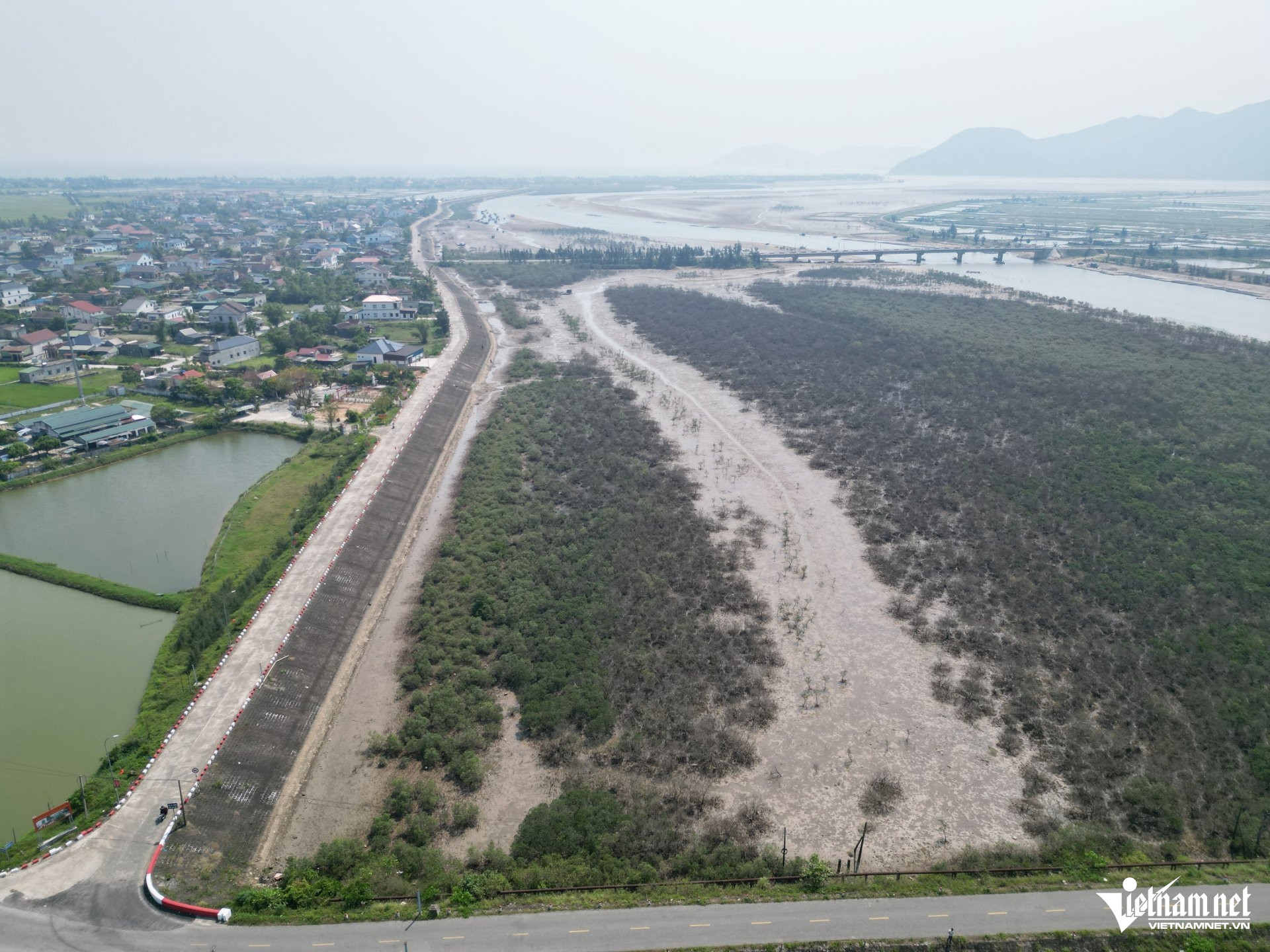 W-aa rừng mặn3.JPG.jpg