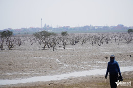 W-aa rừng mặn8.JPG.jpg