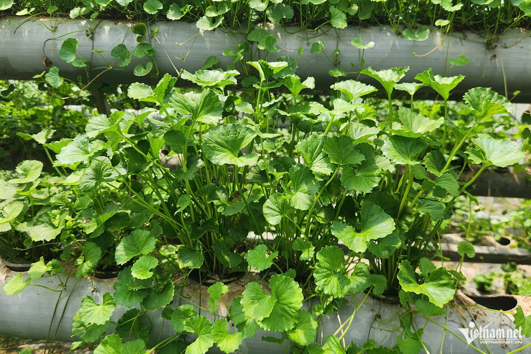 W-da3e8f38 c32f 4be4 a683 52b9bbdb2bca.jpeg