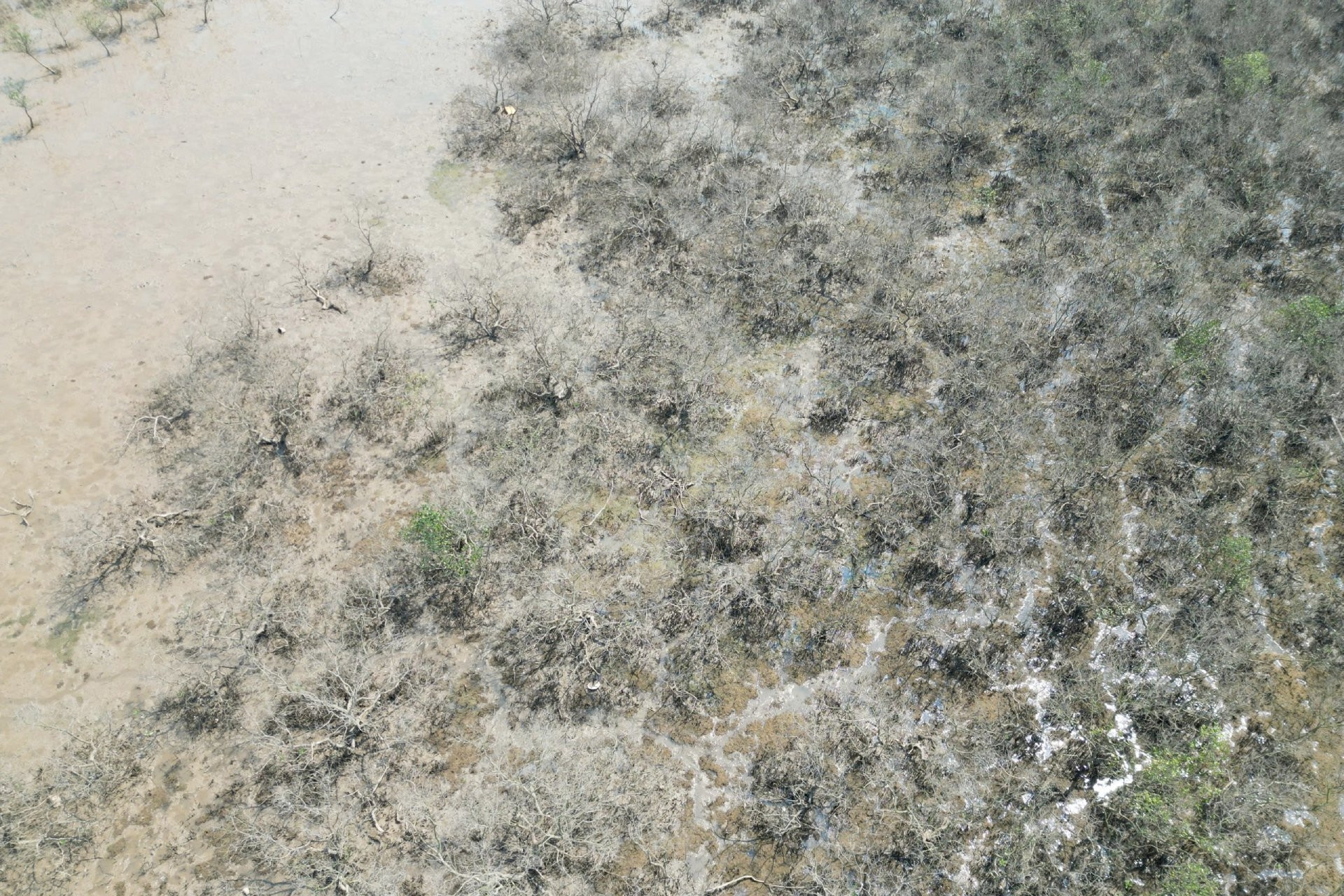 Cảnh tượng bất thường ven biển Hà Tĩnh: Đã có kết quả quan trắc môi trường nước